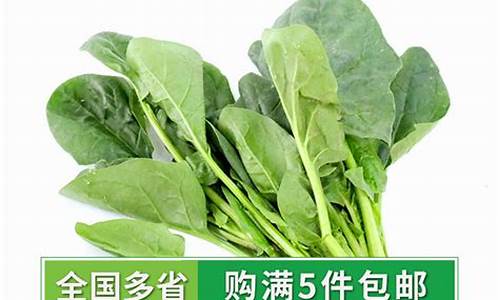 菠菜优惠担保(菠菜担保网)