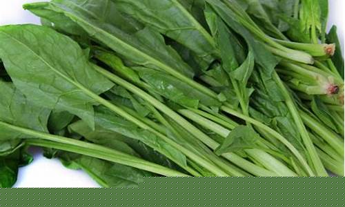 菠菜信息大全(菠菜信息大全平台)