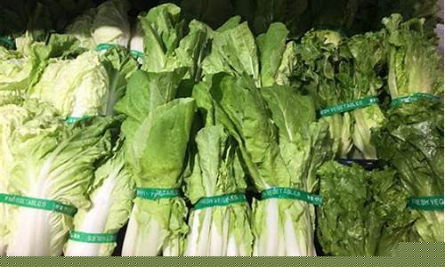 菠菜担保网站论坛:白菜资讯大全