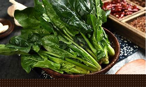 菠菜大全(菠菜大全菜谱名字)