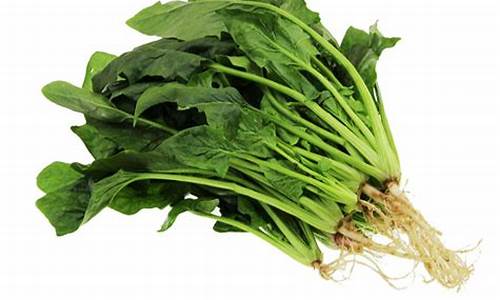 线上菠菜入口:菠菜注册网(线上菠菜注册) (2)