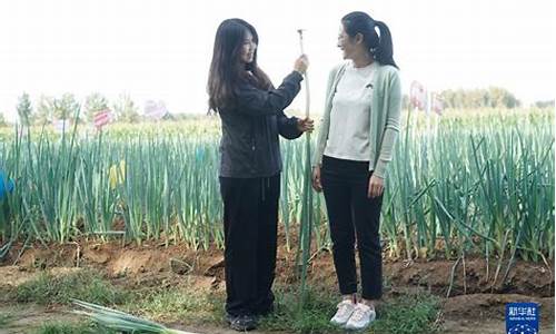 菠菜体育官网:菠菜论坛(菠菜论坛客服电话)