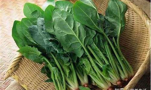 网络菠菜网:线上菠菜开户(菠菜网怎么交易)