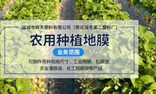 菠菜导航(菠菜导航网(中国)多元入口 - 信誉保证) (4)