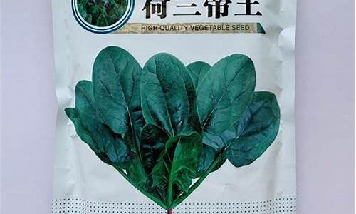 网上菠菜开户:菠菜公司网站 (6)