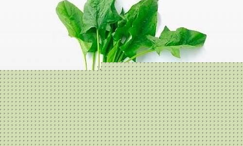 菠菜公司线上开户：菠菜公司网址(菠菜集团) (2)