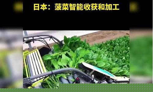 菠菜信息技术(菠菜技术交流论坛) (5)
