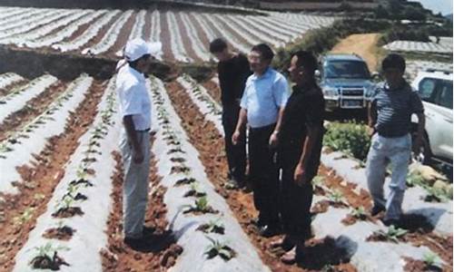 专业菠菜导航官方网站 (19)