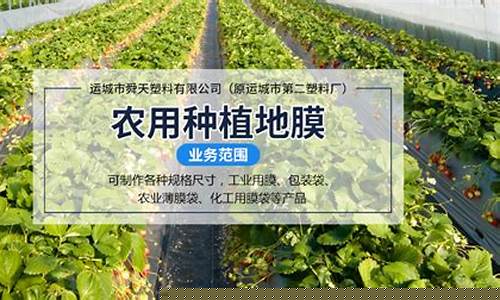 专业菠菜导航官网(菠菜导航网看开奖记录) (2)