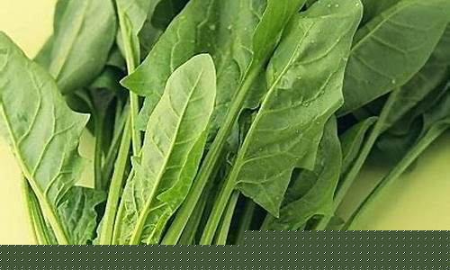 菠菜公司网址(菠菜公司网址是多少) (3)