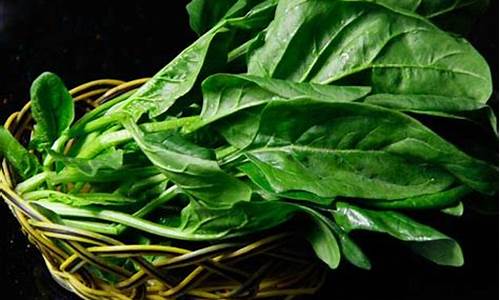葡京注册开户:菠菜信息大全(菠菜饼的做法大全)