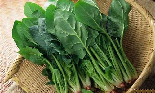 菠菜导航：线上菠菜入口(什么是线上菠菜)